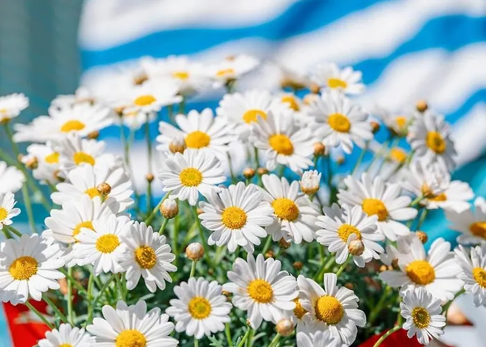 Le Blue Appartamento